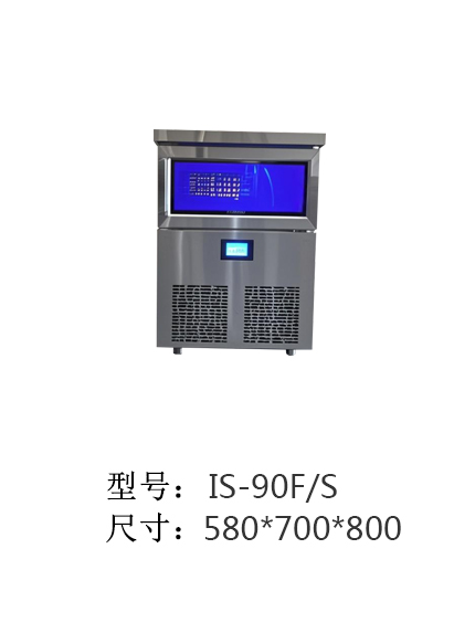 IS-90F/S